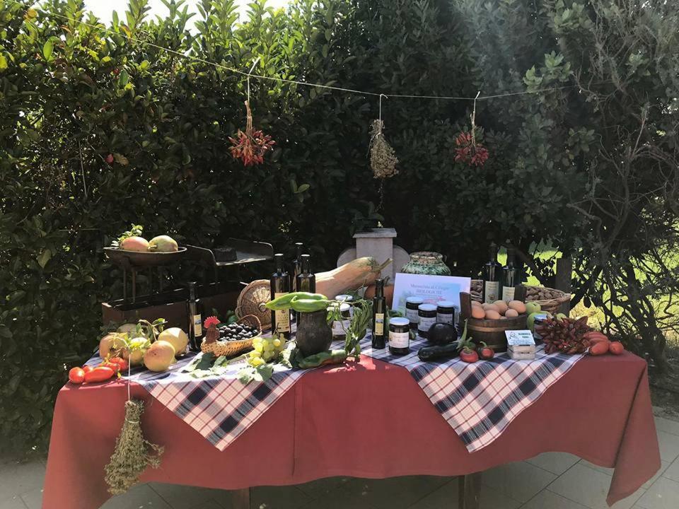 Masseria Vero Bed and Breakfast Palo del Colle Zewnętrze zdjęcie